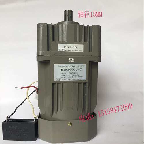 微型齿轮变速马达200W 6Gu减速箱 380V220V110V交流调速定速电机