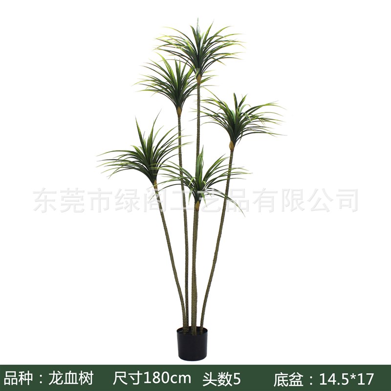 可弯曲仿真龙血树植物造景高仿真龙舌兰家居装扮盆栽龙须树剑麻