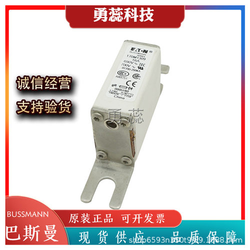 保险丝熔断器170M1309/1310/1311