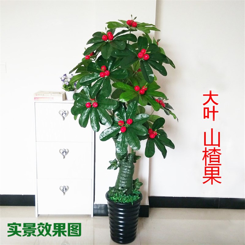 仿真植物盆栽室内客厅落地摆放盆景田园水果发财树仿真山楂树