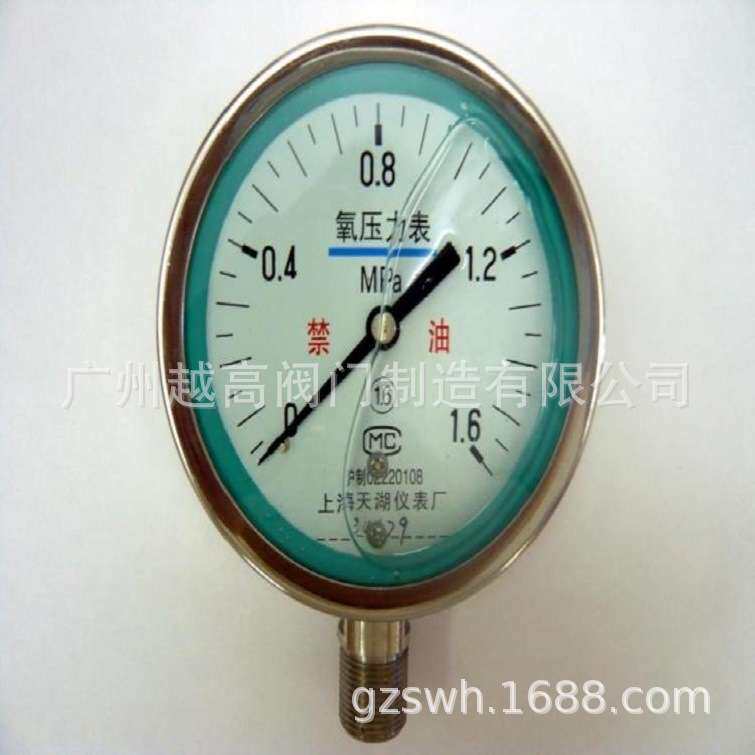 中国雷尔达氨用压力表/红旗氨气压力表/氨气压力真空表东亚 天湖