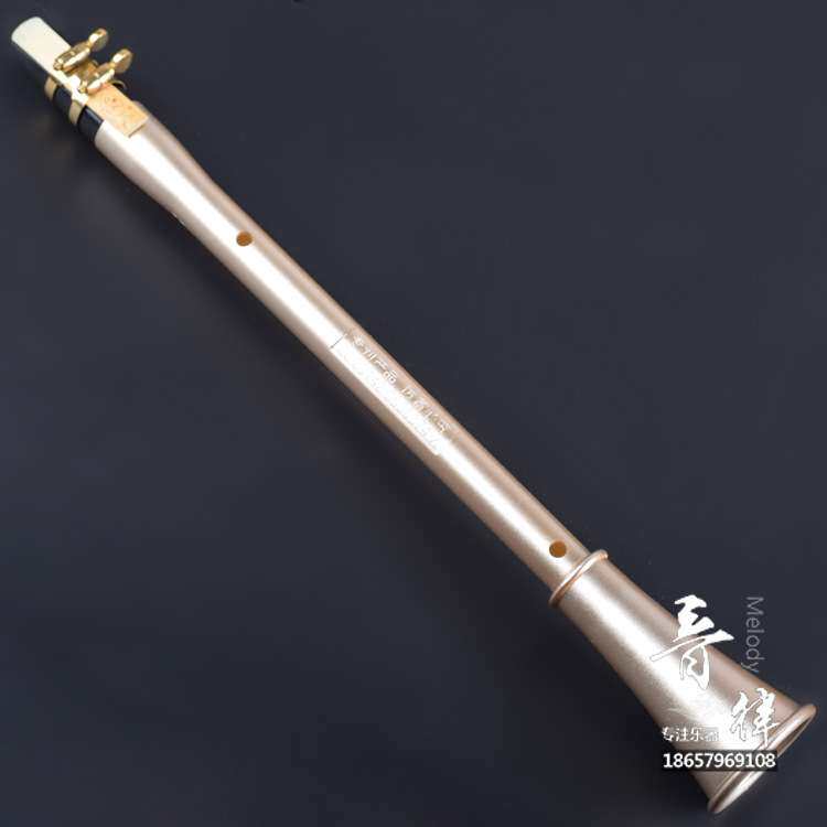 简易萨克斯口袋单簧管迷你吹奏萨黑管西洋管乐器  带哨片配件