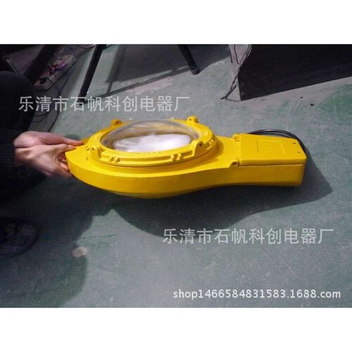 BLC8610防爆道路灯（IIC）马路灯 道路灯 BAM55LED-RY-T101