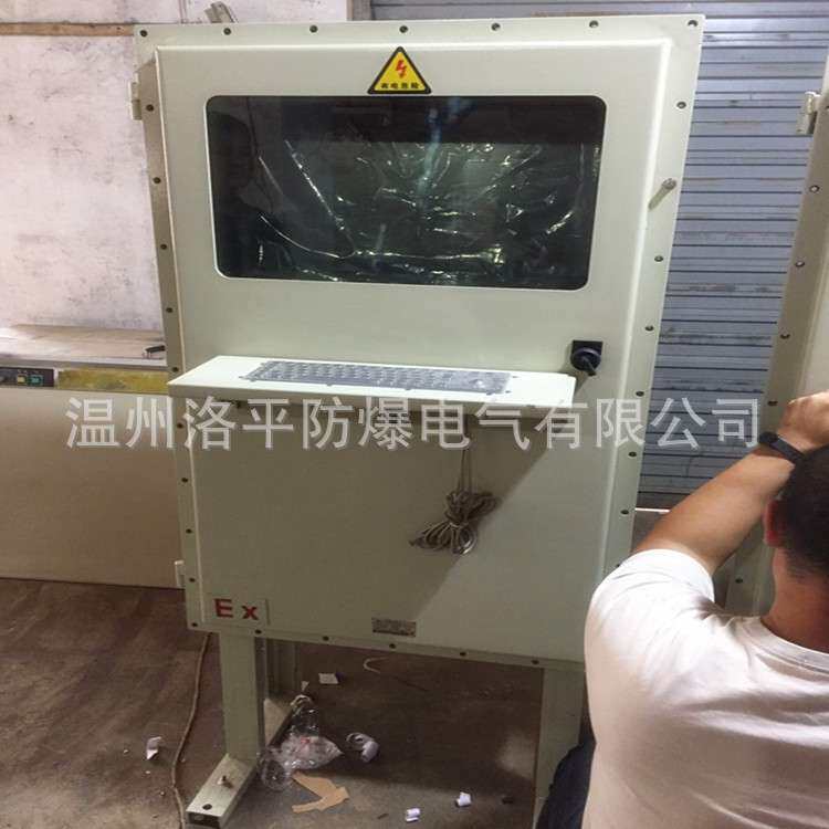 防爆22寸显示器电视柜 台式电脑主机操作机柜 洛平防爆
