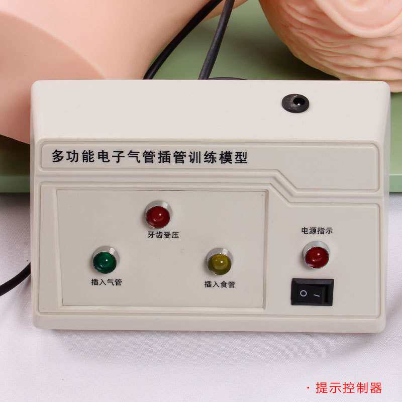 博友电子人体气管插管训练模型 成人气管插管练习模型 牙齿报警