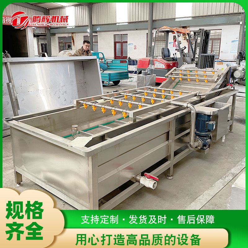全自动蒲公英气泡清洗机百香果链板式清洗机商用金钱橘清洗机