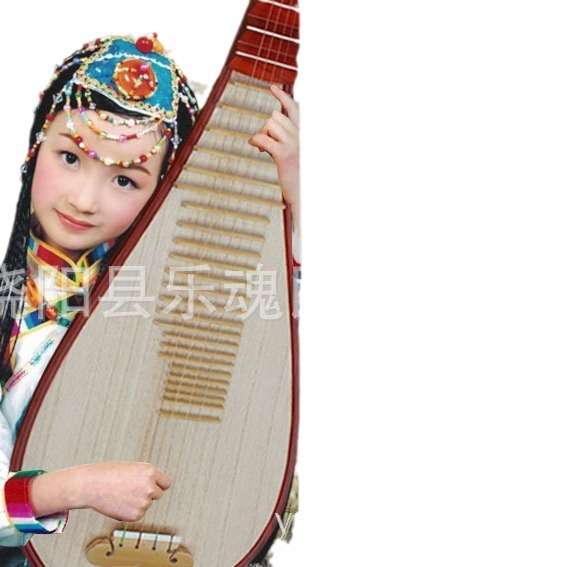 乐魂厂家直销红花梨木儿童琵琶花梨木小琵琶乐器带盒