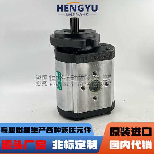 罗茨液压泵RONZIO齿轮泵03ZBG90B347DN 03ZBG50L348D 03ZAG30Q064