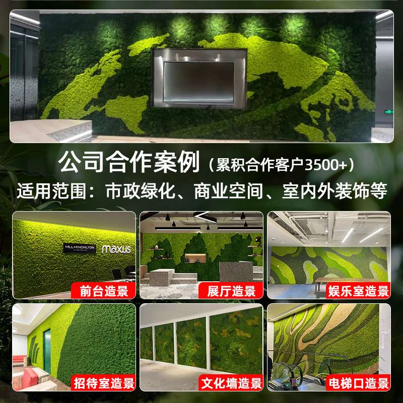 青苔苔藓植物造景永生苔藓植物墙仿真绿植墙装饰材料盒装苔藓