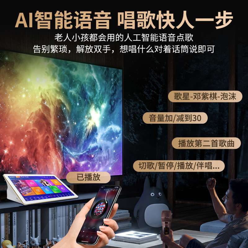 ktv音响套装K歌全套音箱功放USB灯