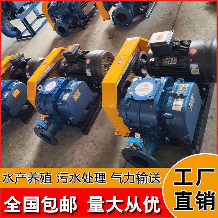 隆晟达罗茨鼓风机LSDSR污水处理风机厂家 气力输送负压真空上料机