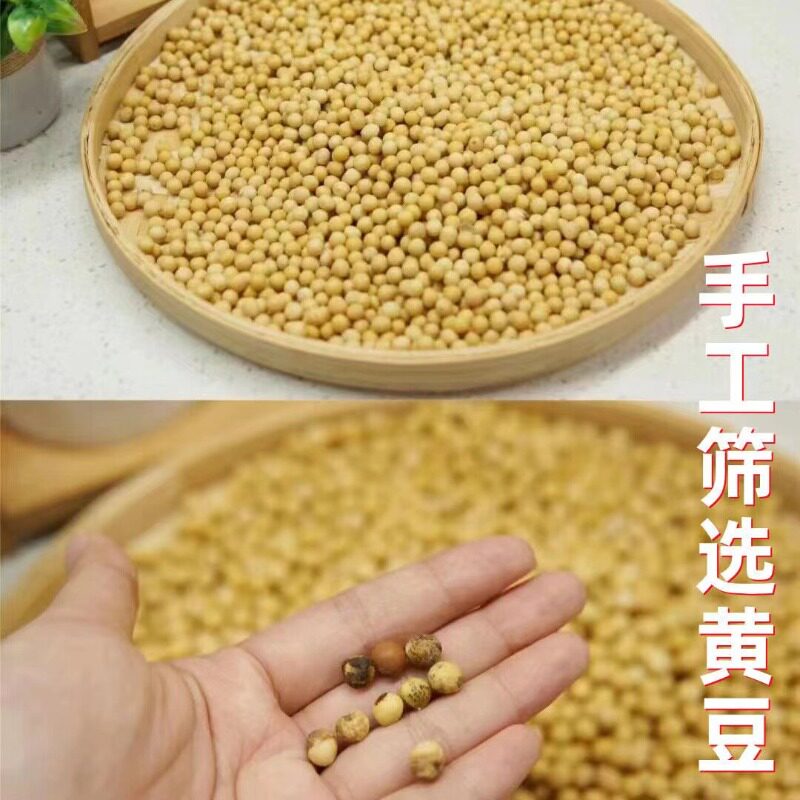 腐竹干货纯正特产级无加优质无盐干腐竹段商用批发豆制品凉拌专用