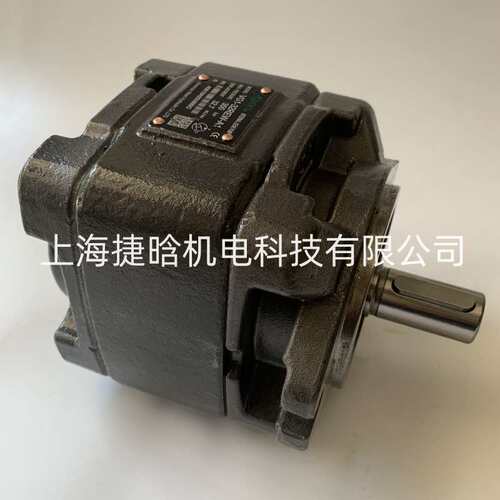 ALBERT内啮合齿轮泵 VG1-63REW-A1 折弯机伺服油泵 VG1-50REW-A1