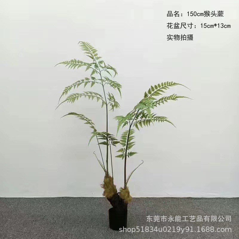仿真猴头蕨金毛狗蕨假树室内中式园林系庭院造景装饰绿植物 盆栽