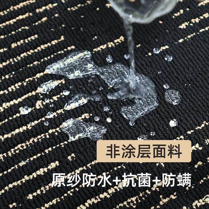 客厅轻奢地毯【墨金系列】防水防污双色硅藻丝卧室沙发地垫免洗