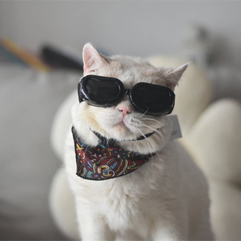 宠物复古方框墨镜猫咪狗狗搞怪眼镜潮酷装扮拍照写真配饰道具