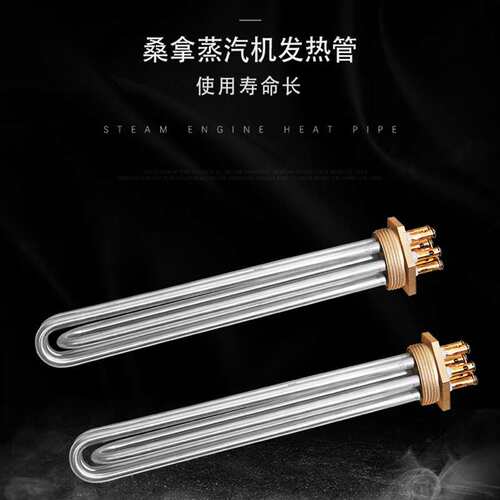 蒸汽机电热管发热丝蒸汽发生器不锈钢加热管湿蒸管桑拿配件220V