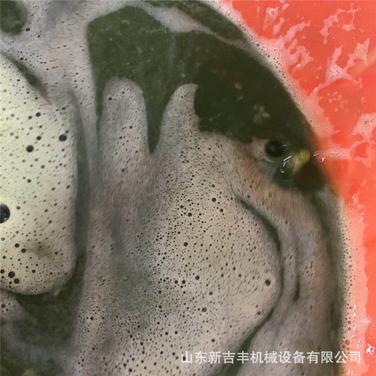果茶店推荐水果榨汁机果蔬汁去渣榨汁机韭菜辣椒打浆机