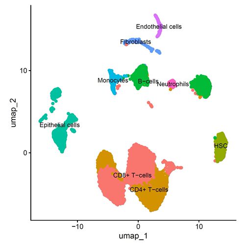 scRNA-seq单细胞测序结果分析R语言代码+零基础手把手视频教程