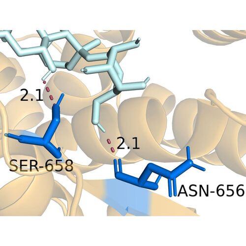 PyMOL视频教程 PyMol mac安装 分子对接 Vina对接 分子对接可视化