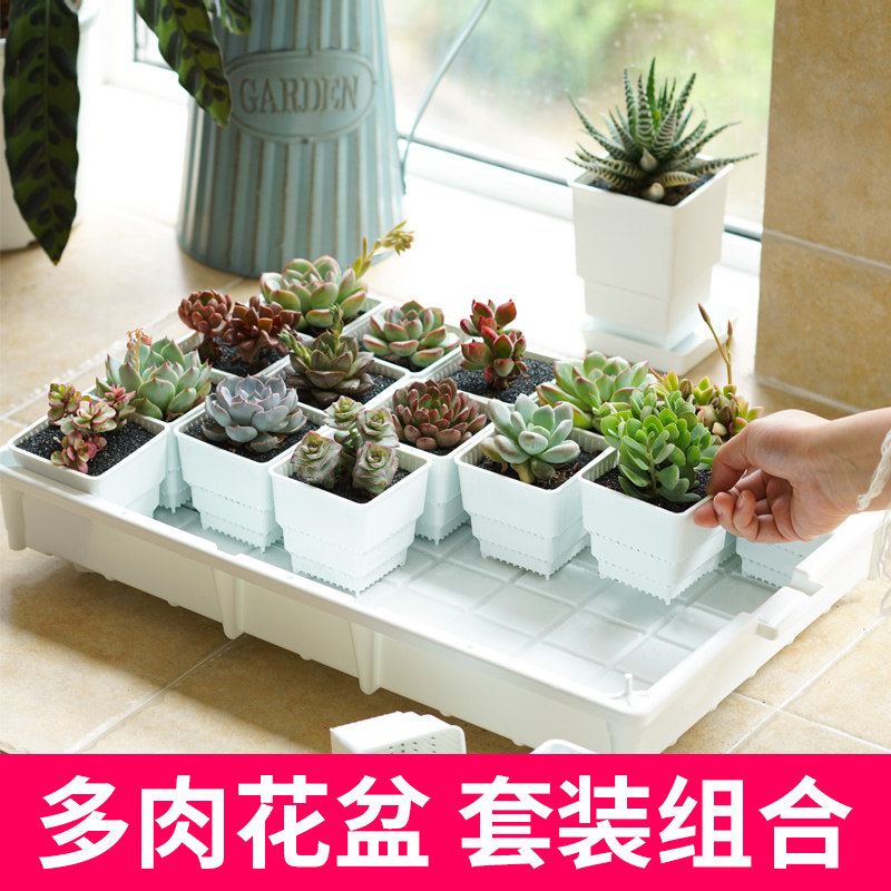 美莳控根多肉花盆托盘套装组合长方形超大阳台收纳塑料加厚接水盆