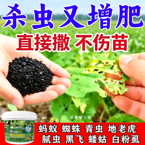 撒施型清病菌颗粒除虫杀虫防虫