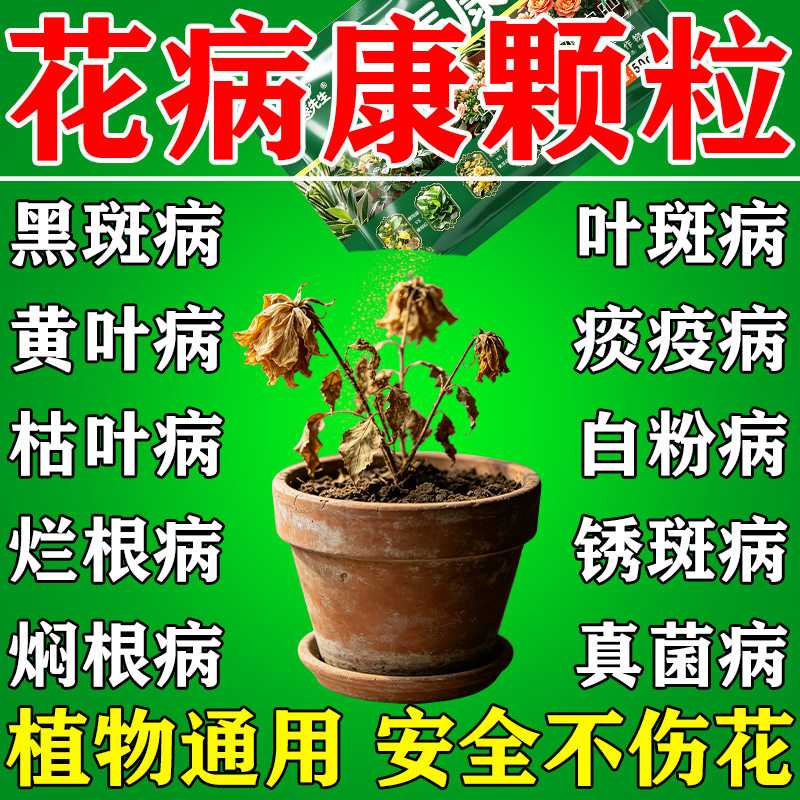 花医康花卉病害清菌颗粒