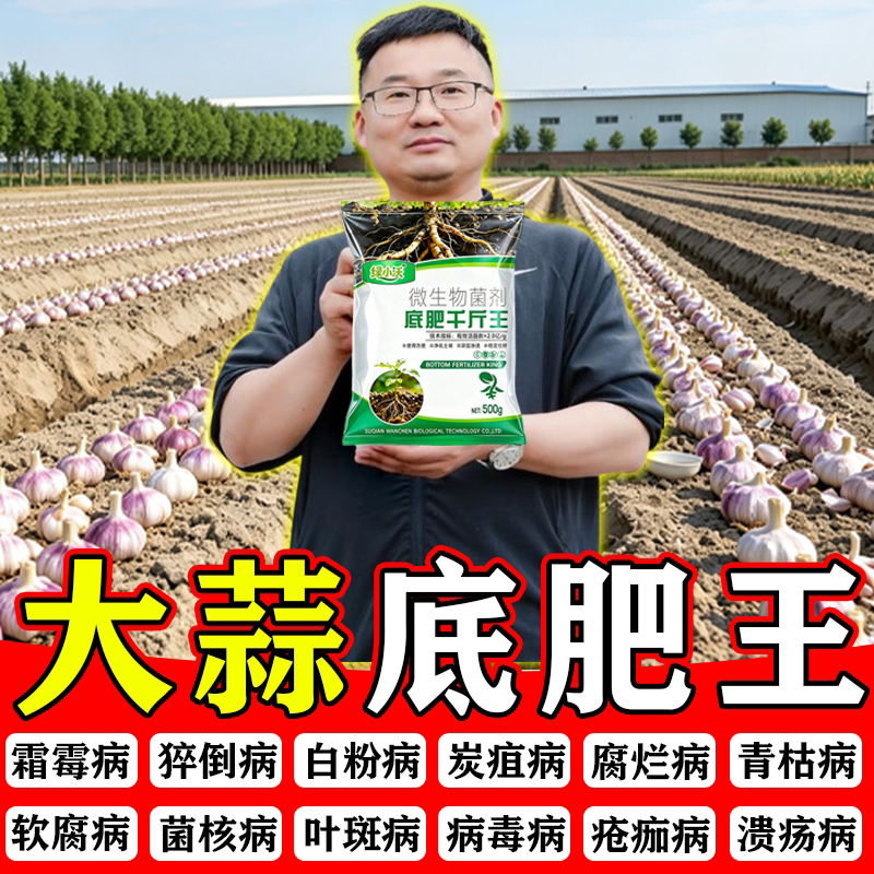 大蒜底肥宝防干尖防病害粗壮肥料