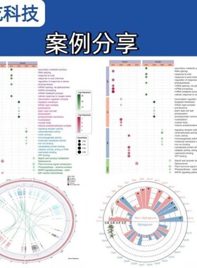 全转录组RNAseq差异表达分析服务