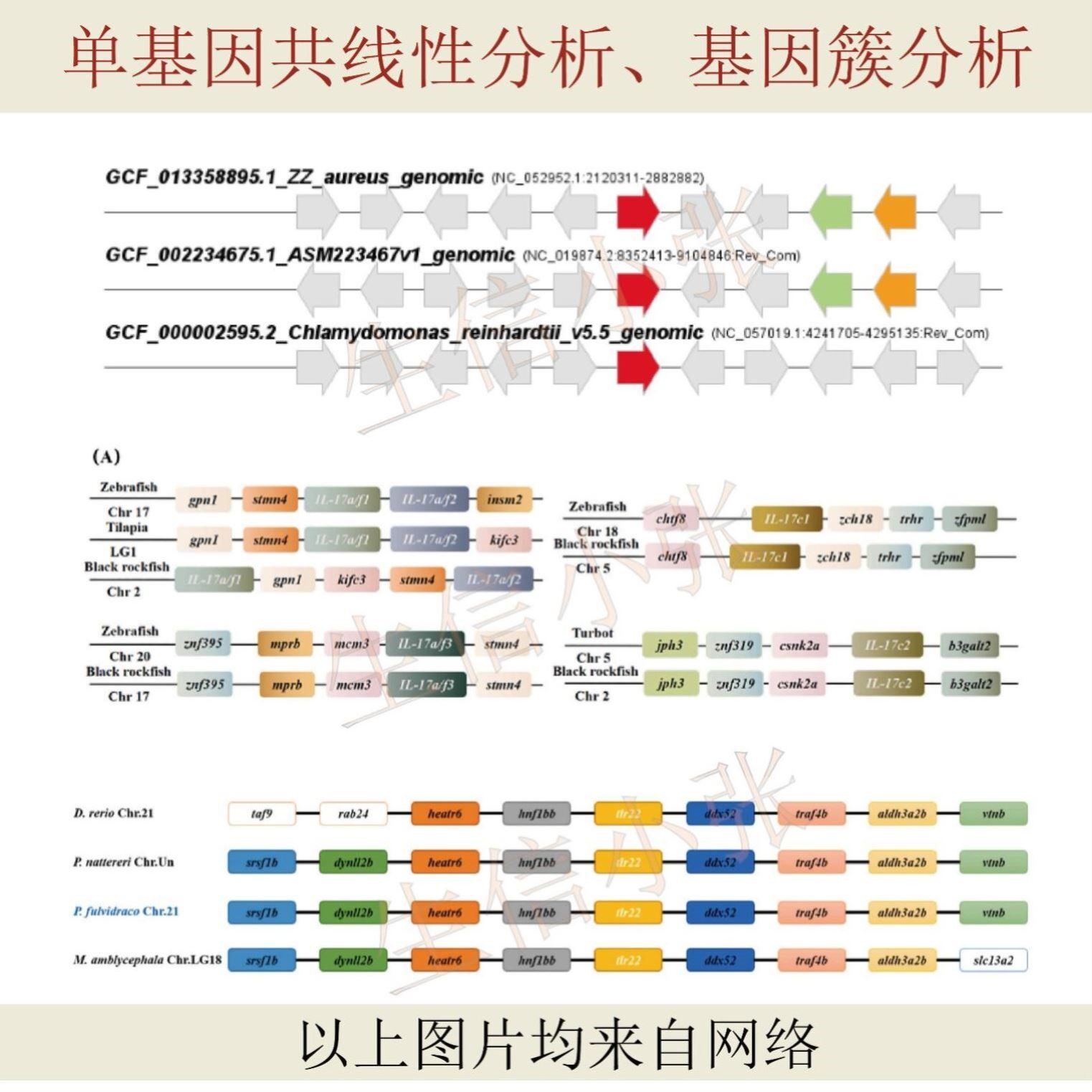 生信分析数据服务单细胞测序转录组TCGA GEO数据生信图咨询