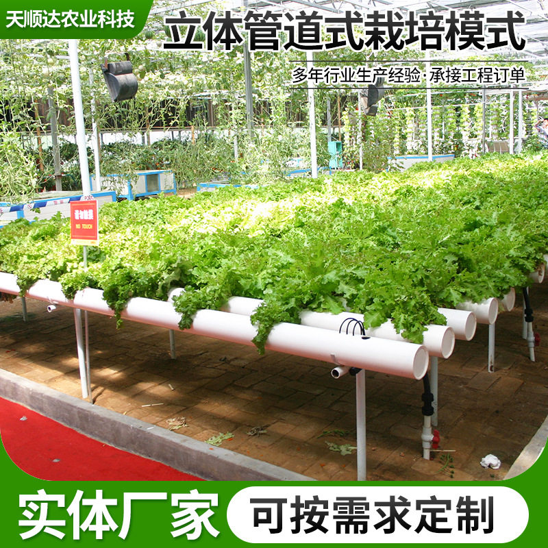 现代化立体管道水培圆形隧道式无土水培模式叶菜类水培种植模式
