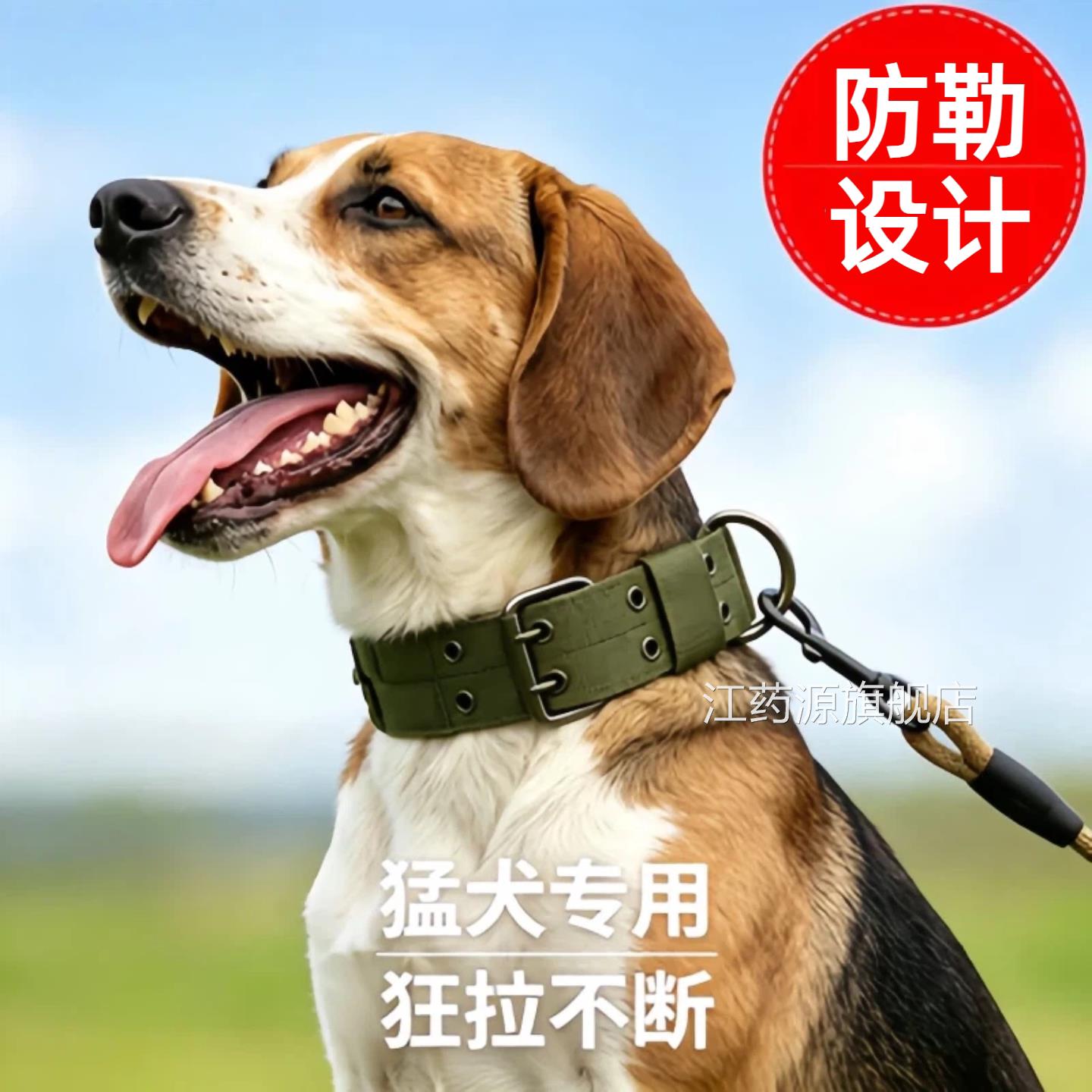 狗项圈加宽双排中型犬脖套型狗狗牵引绳大型犬小犬遛狗绳加粗狗圈