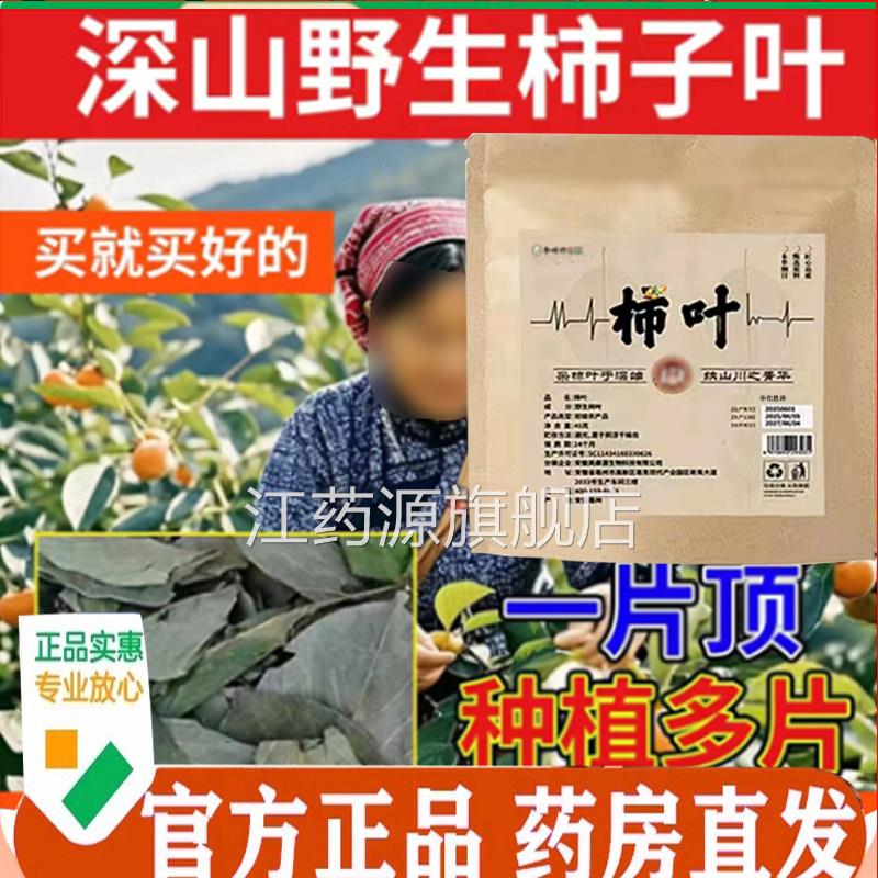 野生柿子叶直播同款鲜柿叶晒干用官方旗舰摘店正品药房直售7mn江