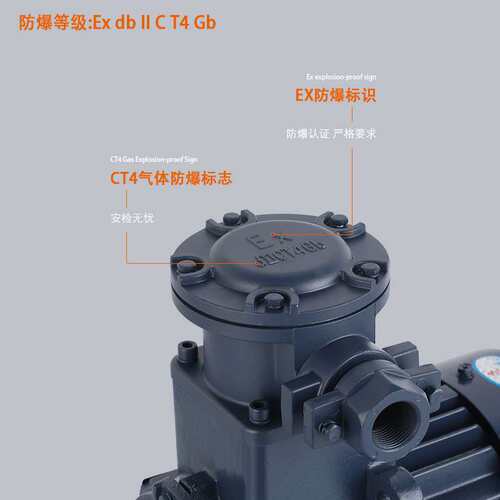 CT4气体防爆电机氢气YBX3新大力隔爆型三相异步马达全铜国标卧式