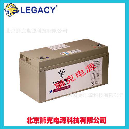 VOAN蓄电池6240ALH6V2升10AH用于牵EJM引车V洗地机降平台等