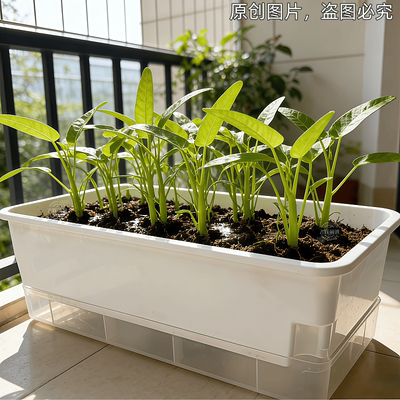 家庭阳台种菜盆种菜神器懒人花盆自动吸水长方形塑料蔬菜种植箱