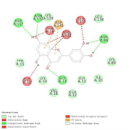 模拟计算 分子模拟 分子动力学模拟 MD Gromacs/lammps/amber