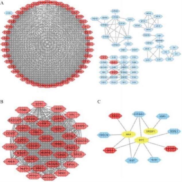 中医网络药理学 中药复方 分子对接代做 TCMSP GO/KEGG cytoscape