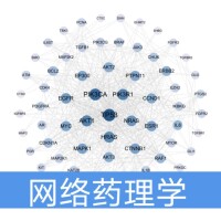 科研绘图生信单细胞转录组轨迹分析Monocle2 Monocle3