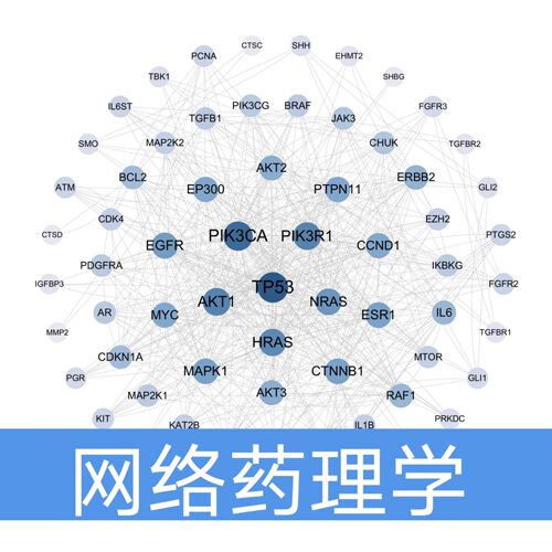 科研绘图生信单细胞转录组轨迹分析Monocle2 Monocle3