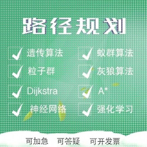 matlab代遗传算法路径规划Python粒子群蚁群算法代做选址路径优化