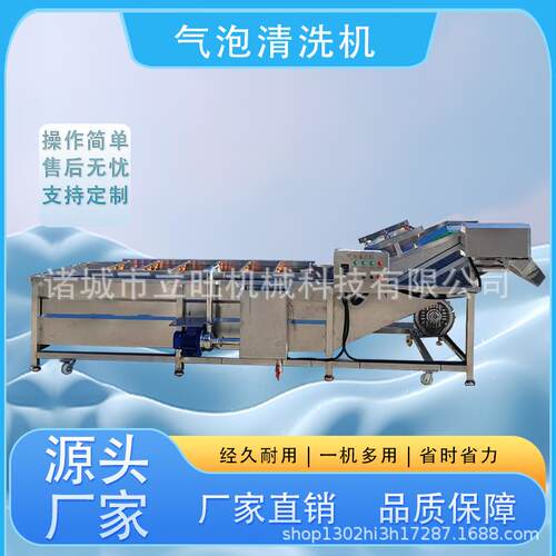 全自动气泡清洗机翻滚式果蔬菌菇海鲜水果清洗机适用多种食材清洗