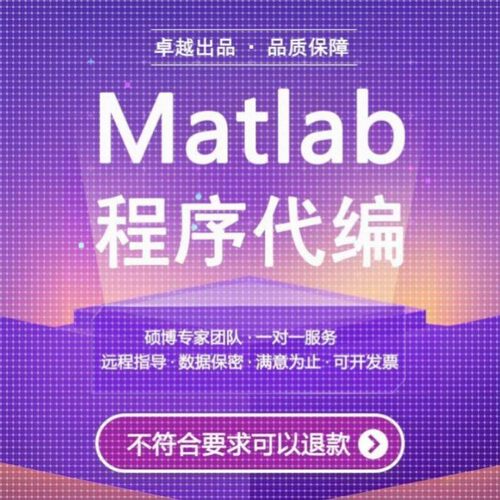 matlab代编程序代做Python深度机器图像信号处理代码仿真帮做编程