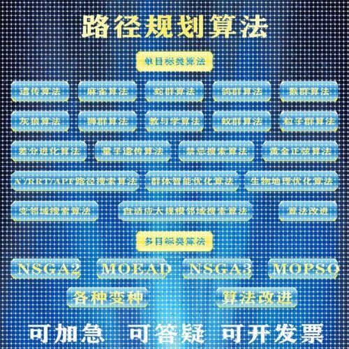 matlab路径规划算法遗传算法蚁群粒子群狼群算法无人机python代编