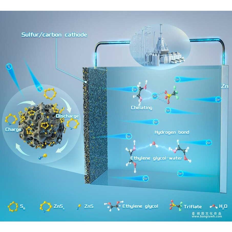 3dmax科研绘图国外SCI学术杂志封面配图美化生物医学动画插画设计