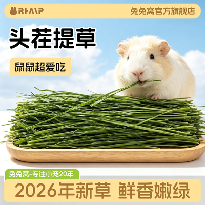 26年头茬提摩西草兔子豚鼠主粮