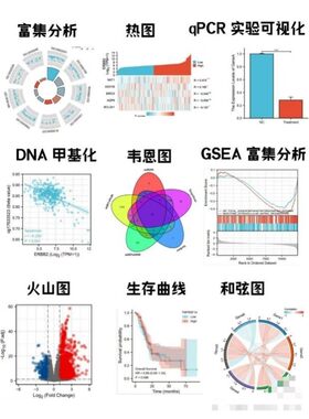 生信TCGA/GEO数据库挖掘差异基因分析单细胞测序ceRNA网络R火山图
