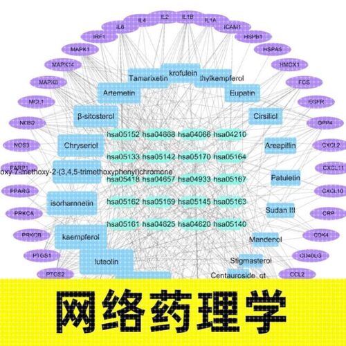 中医药网络药理学代做 网药 TCMSP GO KEGG cytoscape 分子对接