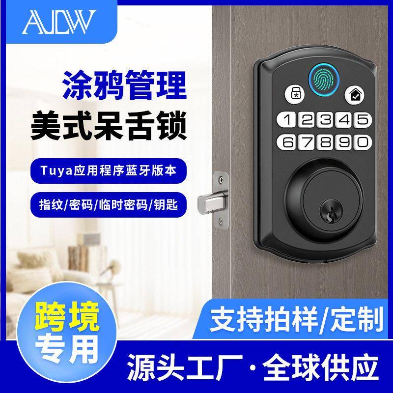 跨境美式全自动呆锁涂鸦智能门锁蓝牙WiFi公室指纹锁电子锁