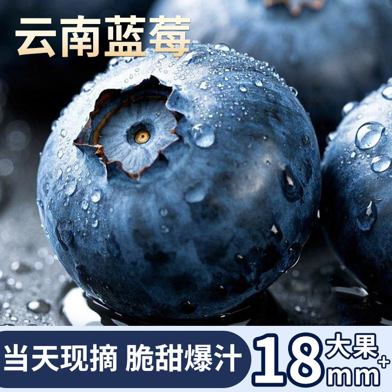 云南新鲜蓝莓果香浓郁甜感十足图片